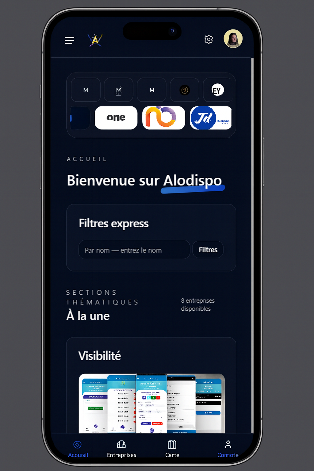 Interface d'accueil Alodispo